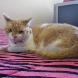 D 0c38f282 b34f 46b8 825f 58b7d4717c8a