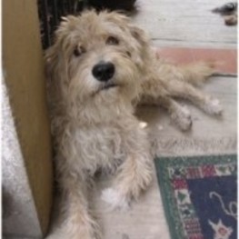 D 9daaa824 9c4d 4a4e af4e 921dcf1a8427