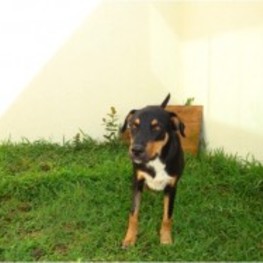 D 505878c3 f645 4afe bcc5 7035bbfcfda6