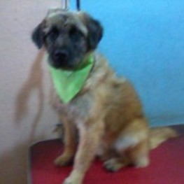 D da5938db 75dd 436f 880e 80d1de9f10df