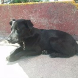 D c07d49af fb04 4db6 bccd 776ce6e4bdb6