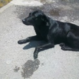 D 98396647 4d6e 45a2 9ecc a1c19bd4429e