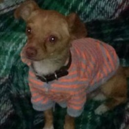 D c40dec40 01fd 4659 9283 a8f453543627