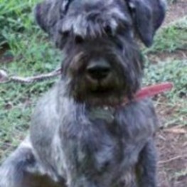 D a83a4573 dacf 4824 932a 4cd0ff399f54