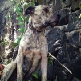 D eca0f2ea 5908 46df 929d 6746fd89fdfa