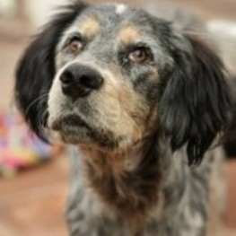 D a76b47fe 3241 4b43 83ca 4242cd8138ed