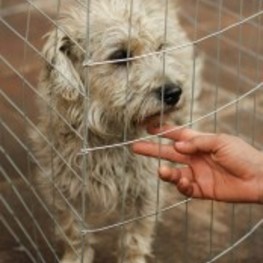 D 3feddc40 d96c 4b0f b34e 047dd18d502d