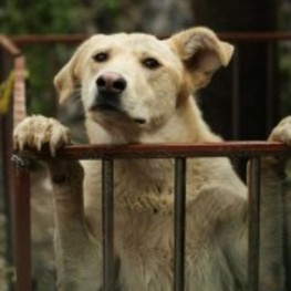 D f6d9006a cfa9 4074 ab7b 982c06e18f94