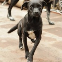 D 5a3f1ced 8596 47e5 b3be 949fd4d9d1eb