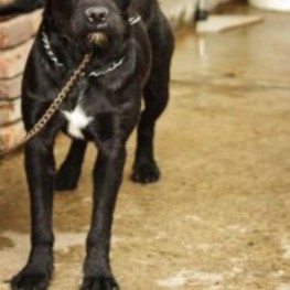 D 4bfe741a 3124 423e 9d07 f01e3b3a5b9d