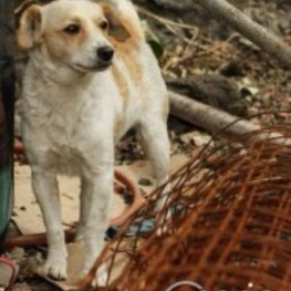 D 17f93194 4fe0 4deb ae88 0f7ccd1e14d2