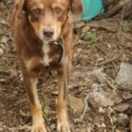 D 75ac2cd1 d370 4bc4 bbe0 ac77ebe454e3