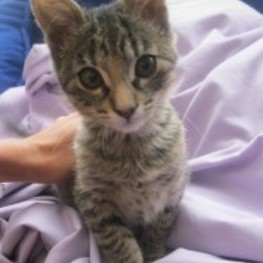 D 41dbc510 def7 4842 9ead 571deea43c19