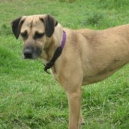 D df5b3e39 7c7a 47e4 8007 6bdc6a5fc8ba