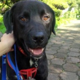 D a3b1d65c 7a1a 49c2 b7ec 6d5bea28bf0d