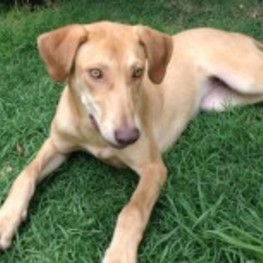 D 364ff93a ef49 4757 a98b 6bef622e3d69