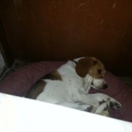 D 625d28f9 bf49 4a29 9611 d449ff3a92bd