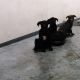 D 0b606526 528a 4847 bd86 835250462c9c