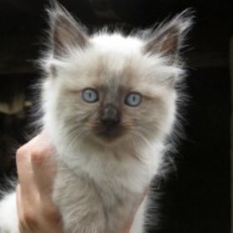 D da54a784 ae61 49a3 8a52 6a562e9a593e