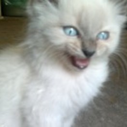 D 71019073 c7c6 43ed 922e 5700cbdf09ea