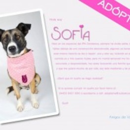 D 3f3dfd66 1b97 42db 8388 e14761348017