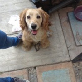 D e4e44dd5 d99f 4f88 a1c3 1f45d29d4a28