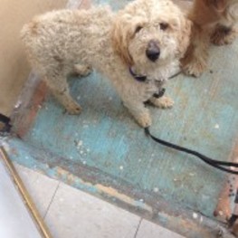 D cc4487e0 cb6a 40ca 8b27 d1f36280c91e