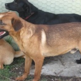 D 11f8c1a9 4946 4336 8b2a ac7837c7c822