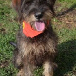 D b71067cd 800a 4342 a177 80d3bb5130a9