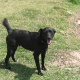 D fdb3601c 3a90 44c6 995c c3c3b58d169f