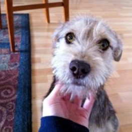 D 3f4bff94 22b1 4278 ac37 b22e8b8710a3