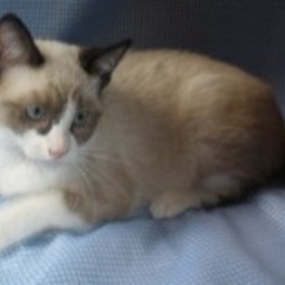 D 8bdd21c4 bdbc 4a17 b85d 6215f41fb90d