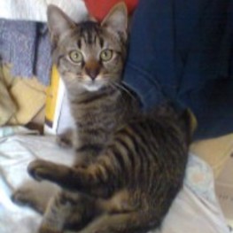 D 37b11c2c ff30 4d72 bbcf 6db2e7cc12fd