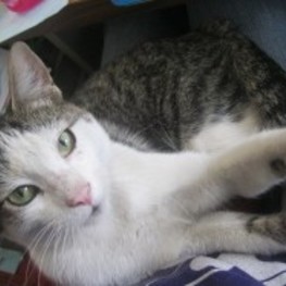 D 9e1a0501 c1f9 450f be41 5e81e3f6960e