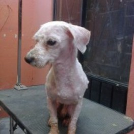 D edeaea7c 9f5f 4a60 840e aeb686692b0e