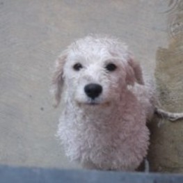 D 813c0499 b10d 4aad b0be cfc762d61aab