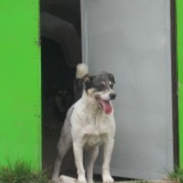 D 2d555c20 668c 4e00 9b0e d3854603d8ba