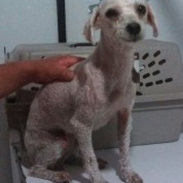 D 1f3a70cb eebf 4986 81c2 99c8263c7173