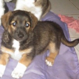 D 59bec0b3 23e1 4416 a881 9949958eda45