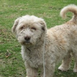 D ba885f7d 9d2e 4c3e 958a ad960d967b1e