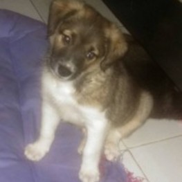 D 464f29b9 b656 4068 a6a5 9c100ac49202