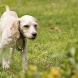 D 66702b1b c88b 4ecd 918c e442845e70bb