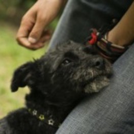 D cd41e463 df1d 48c7 8c3b 504128a26fa2