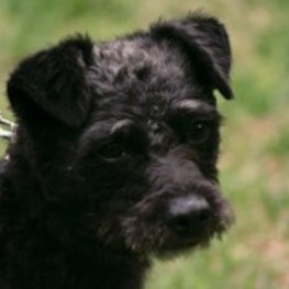 D b1965d80 4260 4e0c 949f faf7895fba17