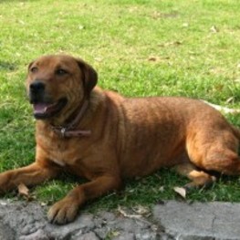 D 89bfd6f9 d51c 4370 9808 8dee9e4b100a