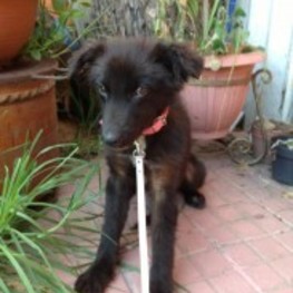 D 6b031ca8 2d0b 4f0f 9fd5 62f2790e545e