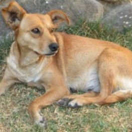 D 33aaada6 3876 49ed b2df 548d3535370f