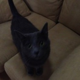 D 66f9c629 c375 45d6 b8cc 968881827c29