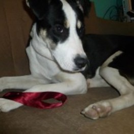 D 6781ae02 d834 490f bcbc 0859328b3168