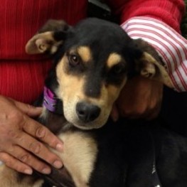 D c2a92ce9 32f1 4f3c a430 dc51d90cc701